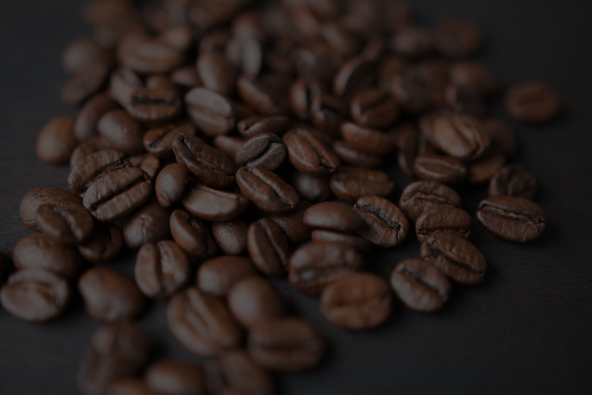 Zakelijk koffiebonen proefpakket